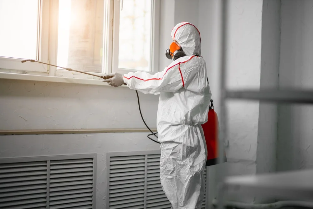 Professional mold remediation services in Forreston, TX
